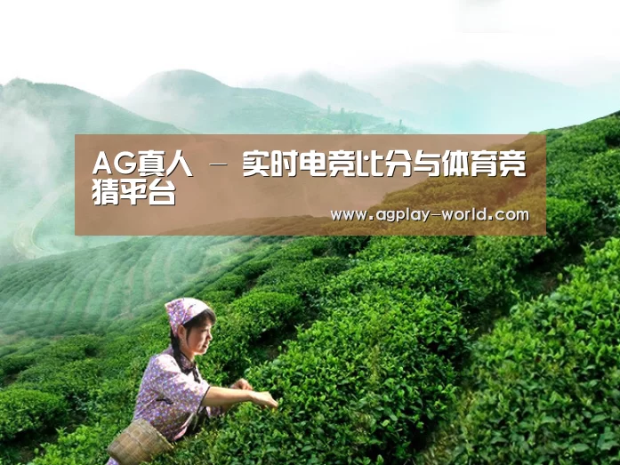 AG真人 - 实时电竞比分与体育竞猜平台
