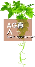 AG真人 - 实时电竞比分与体育竞猜平台