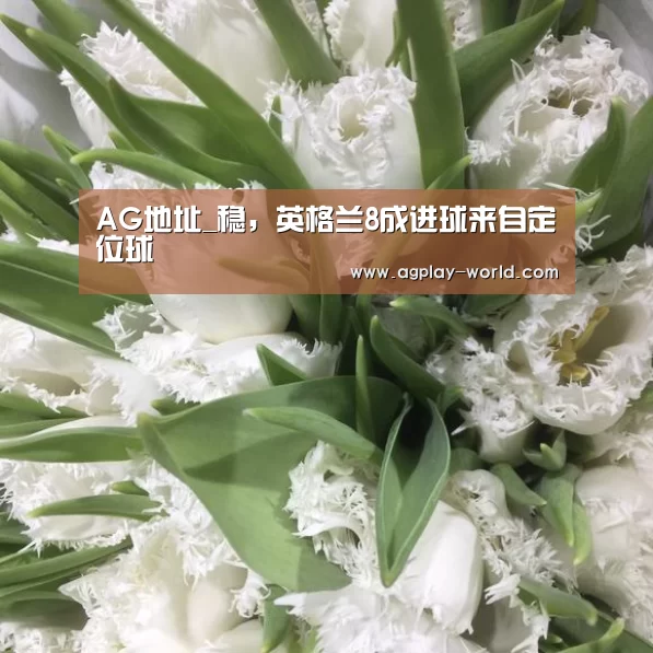 AG地址_稳,英格兰8成进球来自定位球(图2) AG真人